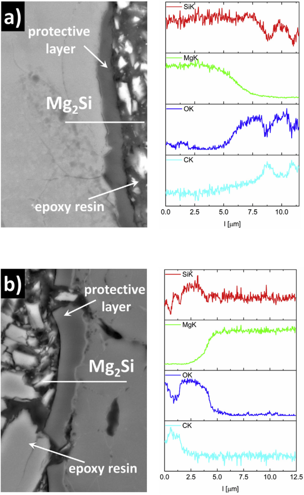 SEM images with point and linear analyses of the chemical composition for Mg2Si samples covered by SiOC protective coating