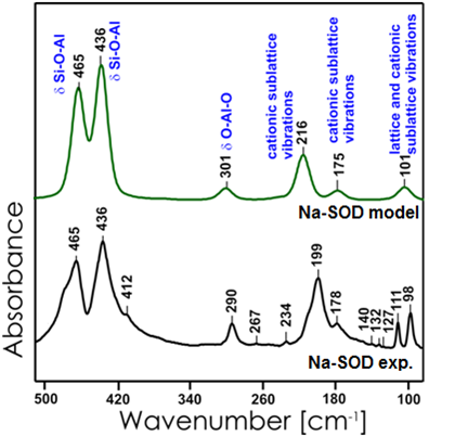 Na-SOD FIR spectra: comparison with experiment